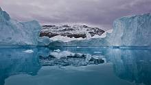 Ученые СПбГУ выяснили, как человек увеличивает биоразнообразие Арктики и Антарктики