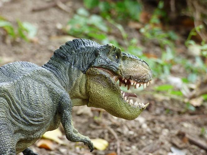 Найдены останки самого древнего травоядного динозавра в мире