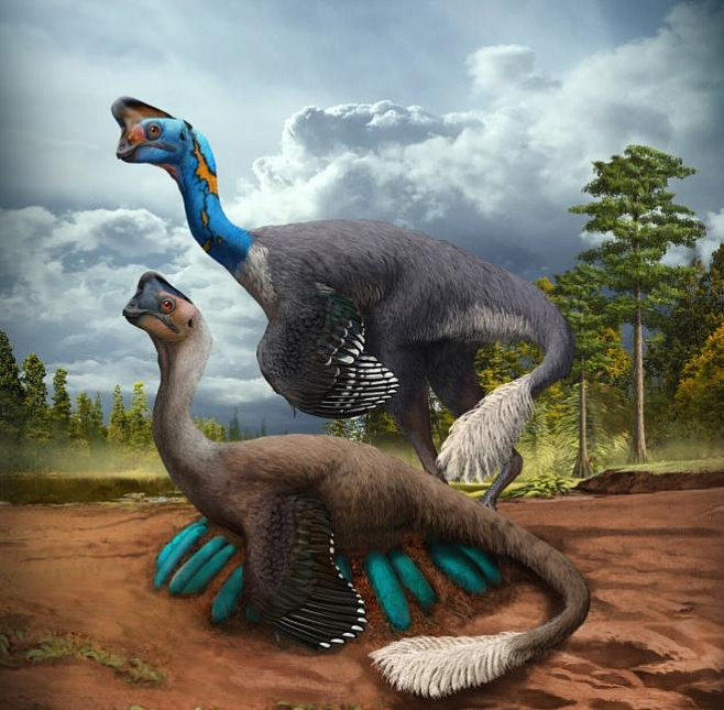 Впервые в мире обнаружены останки динозавра, сидящего на кладке яиц, внутри которых также сохранились ископаемые останки малышей   