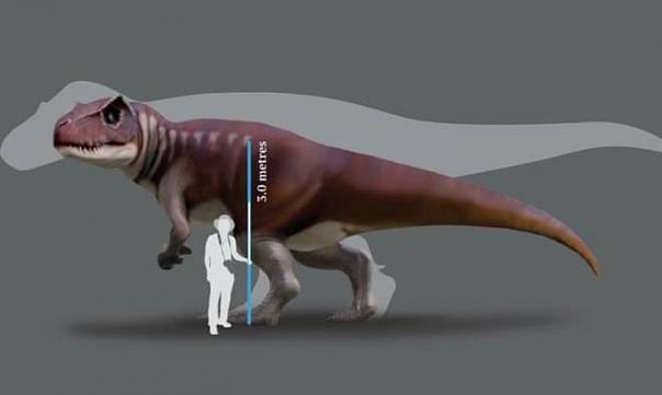 160 миллионов лет назад по Австралии бродили плотоядные динозавры размером с автобус 